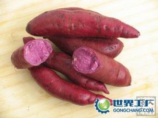 供應(yīng)河北山東山西陜西安徽江蘇湖北浙江紫薯及種苗_食品、飲料_世界工廠網(wǎng)中國產(chǎn)品信息庫